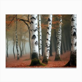 Birch Forest 59 Canvas Print