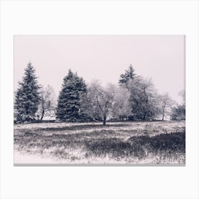 Winter Landscape in Winterberg 3 Canvas Print