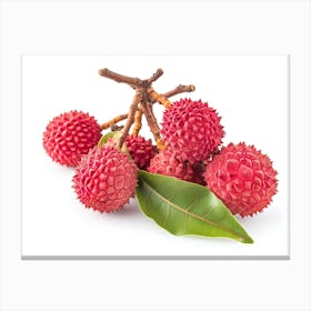 Lychee Fruit 13 Canvas Print