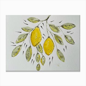 Lemons On A Branch Canvas Print