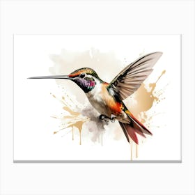 Kolibri Hummingbird - Water Color Painting 11 Canvas Print