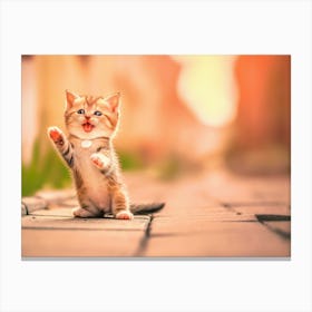 Kitten In The Street Canvas Print