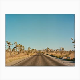 Joshua Tree Road on Film Canvas Print