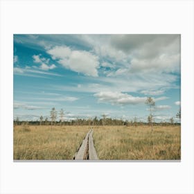 Endless Path In Sweden Canvas Print