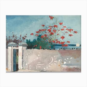 A Wall, Nassau, Winslow Homer Canvas Print