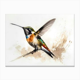 Kolibri Hummingbird - Water Color Painting 9 Canvas Print