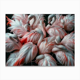 Flamingos Canvas Print