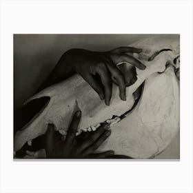 Georgia O’Keeffe – Hands And Horse Skull (1931), Alfred Stieglitz Canvas Print