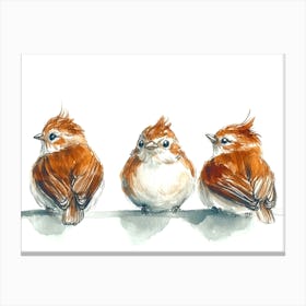 Three Birds On A Branch Canvas Print