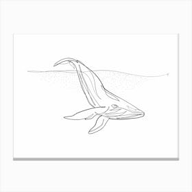 Whale Canvas Print