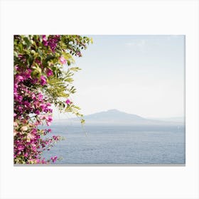 Vesuvius Landscape Canvas Print