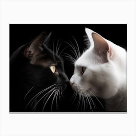 Picture Of Two Cats 1 1 4x3 Canvas Print