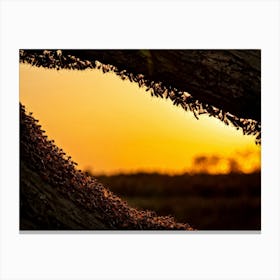 Ant Colony Cooperating Harmoniously Silhouetted Against A Radiant Sunset Amber And Crimson Hues Me (1) 2 Canvas Print