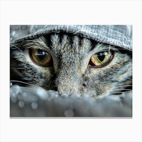 Cat hiding in the shadows Canvas Print