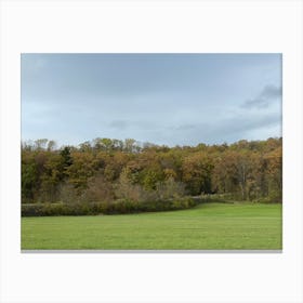 Autumn In The Forest 14 Canvas Print