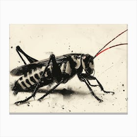 Calligraphic Wonders: Black And White Grasshopper Canvas Print