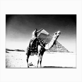Egyptian Camel Canvas Print