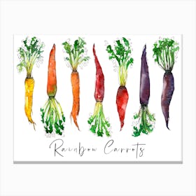 Rainbow Carrots Watercolor Painting Canvas Print