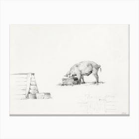 Pig (1823), Jean Bernard Canvas Print