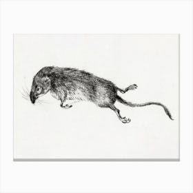 Death Mouse, Jean Bernard Canvas Print