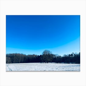 Blue Sky In Winter Canvas Print