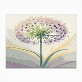 Allium 20 Canvas Print