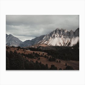 Rustic Colorado Views Canvas Print