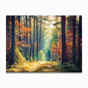 Autumn In The Forest Canvas Print