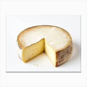 Slice Of Cheese 7 Canvas Print