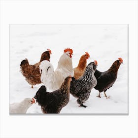 Snowy Hens Canvas Print