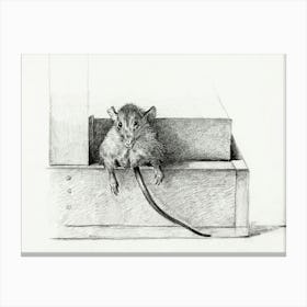 Mouse (1821), Jean Bernard Canvas Print
