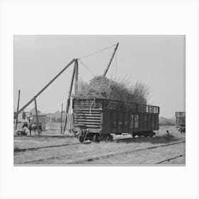 Sugarcane Loaded Into Gondola Car, New Roads, Louisiana By Russell Lee Canvas Print