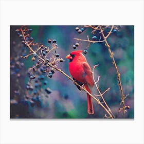 Cardinal And Berries Canvas Print