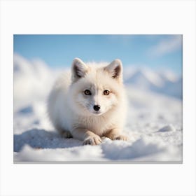 Arctic Fox Canvas Print