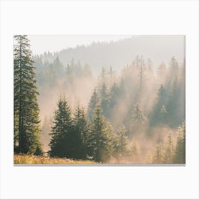 Warm Forest View Canvas Print