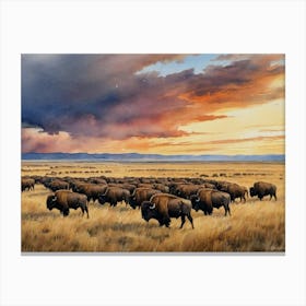 Wild Plains Herd Of Bison Canvas Print