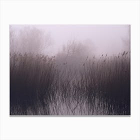 In To The Mist Canvas Print