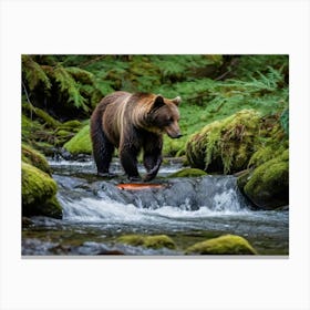 Brown Bear Canvas Print