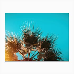 Palm Tree Against Blue Sky Canvas Print