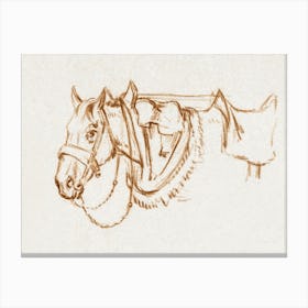 Head Of A Rigged Horse 1, Jean Bernard Canvas Print