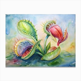 Carnivorous Plants Canvas Print