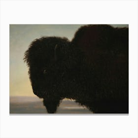 Vintage Bison 1 Canvas Print