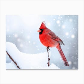 Cardinal Bird Perched On A Frosted Branch Fluff Of Snow Falling Gently Against A Winter Sky Feathe Canvas Print