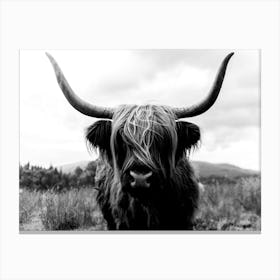 Scottish Highland Cattle 2 Black And White Canvas Print
