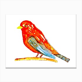 Bird On A Branch 1 Canvas Print