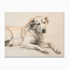Labrador Retriever Sketch Canvas Print