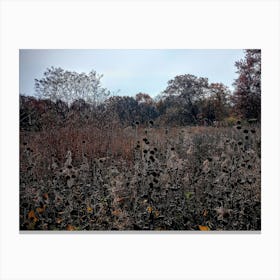 Field Of Wildflowers Canvas Print