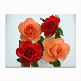 4roses 5322 Toile