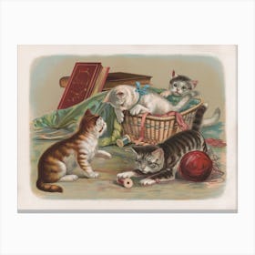 Cats Full Of Fun Canvas Print