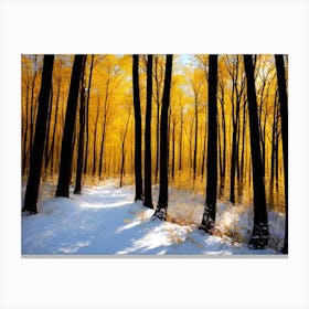 Autumn Forest 53 Canvas Print